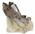 Smoky Quartz Crystal Cluster - Brazil #61489-1
